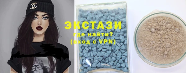 крисы Корсаков