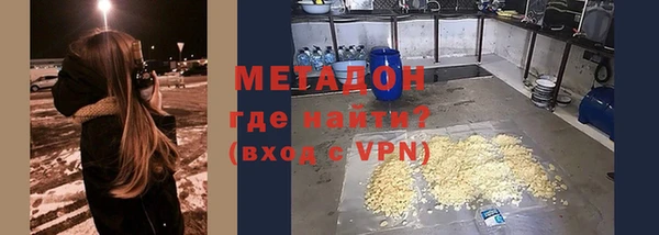 крисы Корсаков