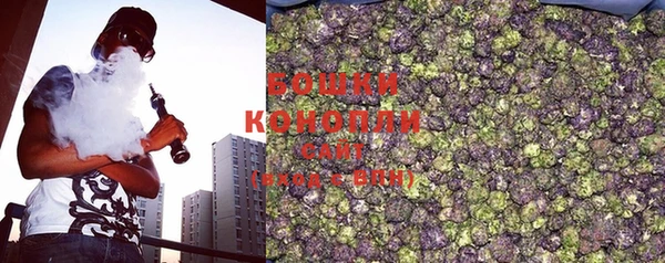 крисы Корсаков