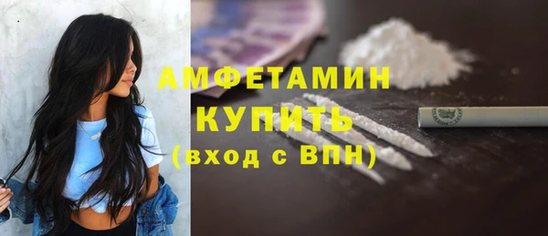 крисы Корсаков