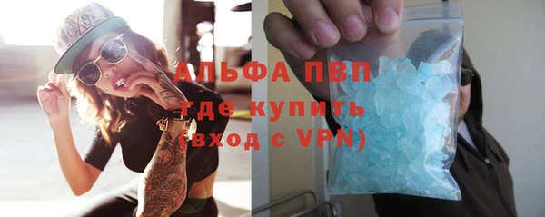 крисы Корсаков