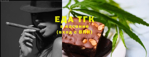крисы Корсаков