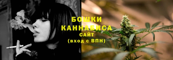 молекула духа Коряжма