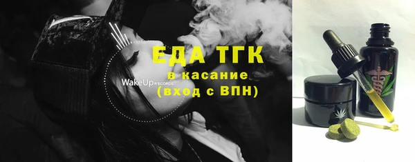 крисы Корсаков