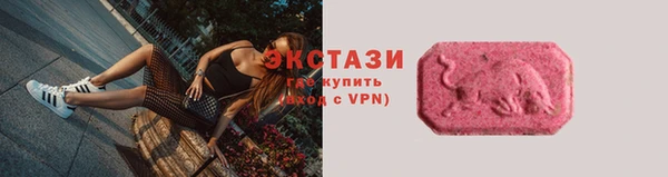 крисы Корсаков