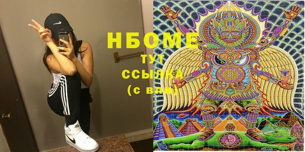 крисы Корсаков