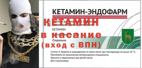 крисы Корсаков