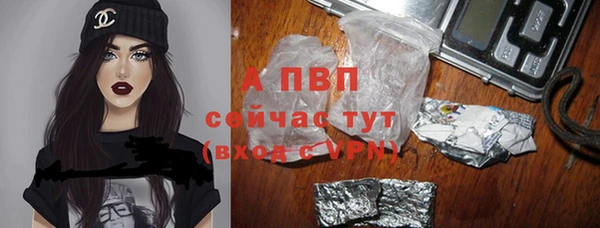 крисы Корсаков